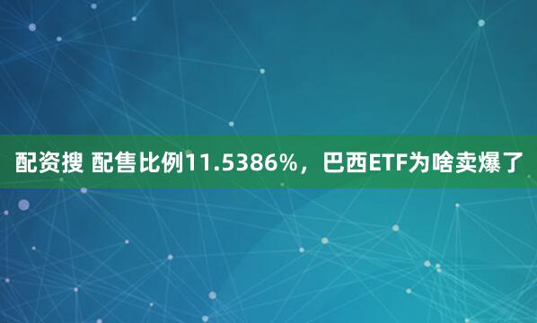 配资搜 配售比例11.5386%，巴西ETF为啥卖爆了